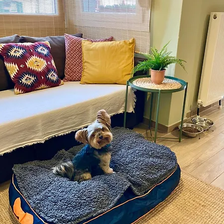 Super Cute & Cozy Mini In City Center * Salonic